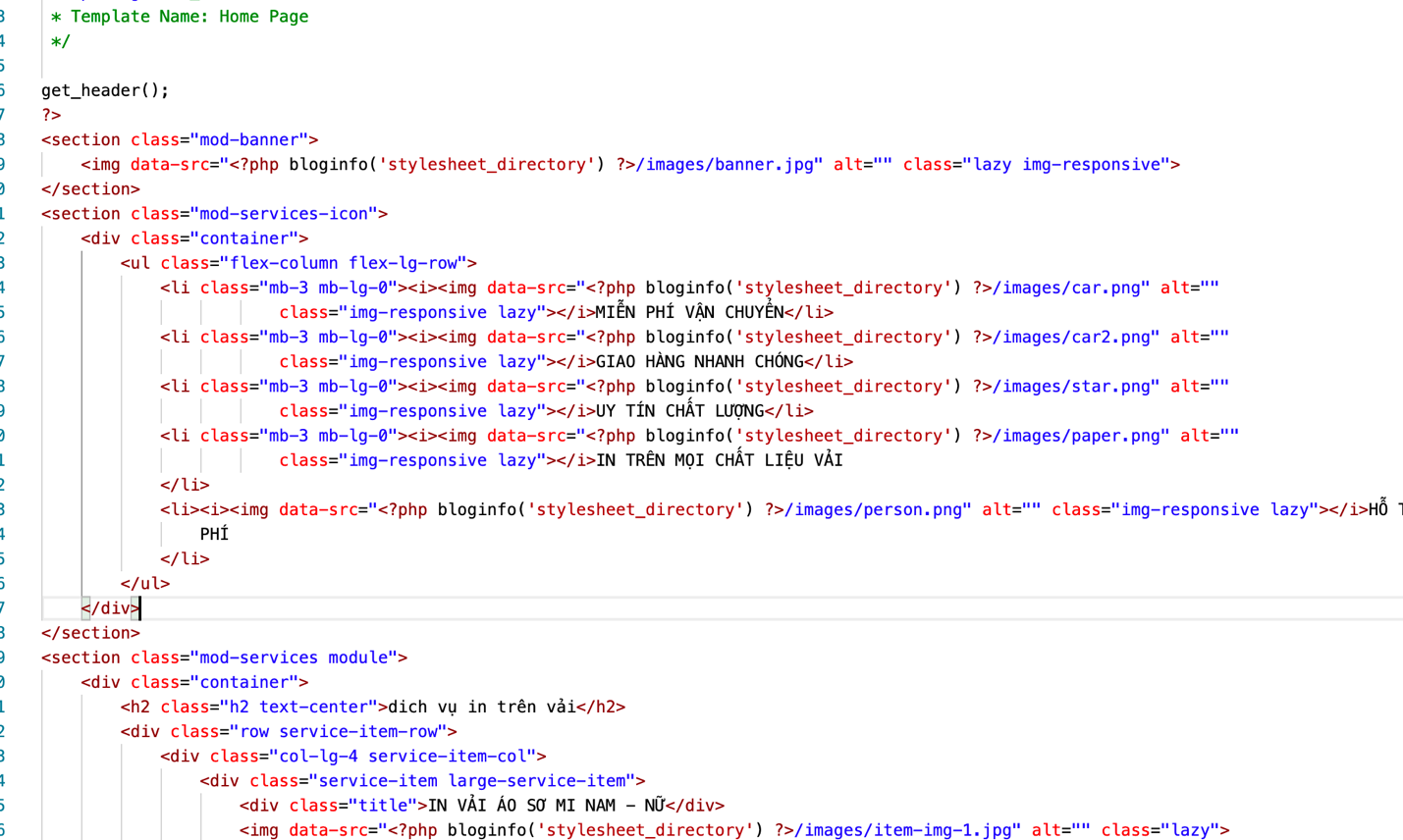 Code trang Home WordPress