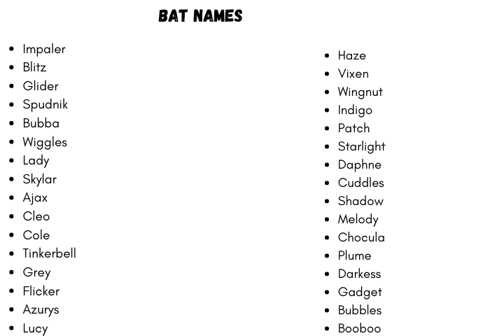 Pet Bat Names