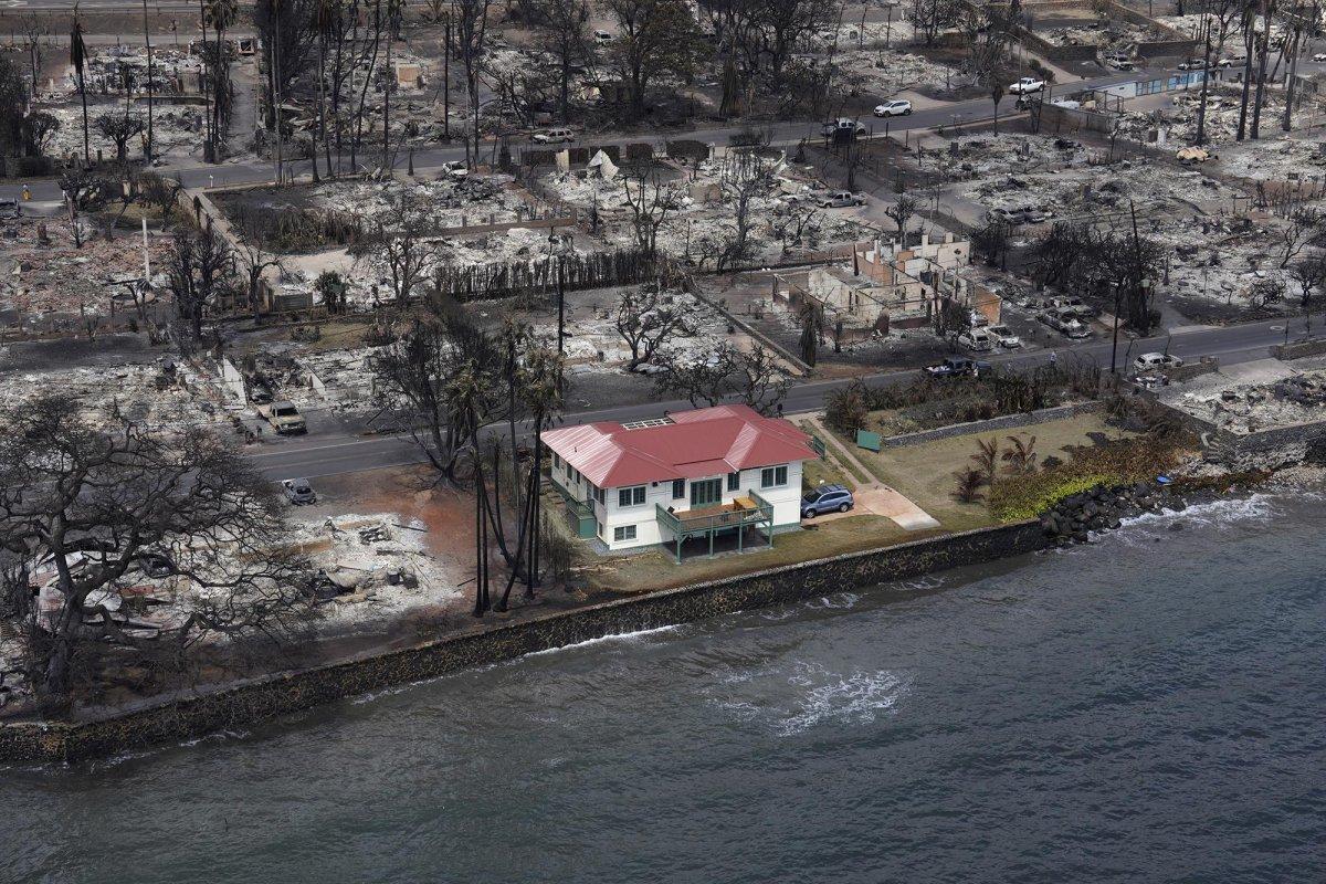 지난 8일 미국 하와이주 마우이섬에서 대형 산불이 발생해 주택 대부분이 불에 탄 가운데, 빨간 지붕 집만 멀쩡한 모습이다. 트위터 @whoacity