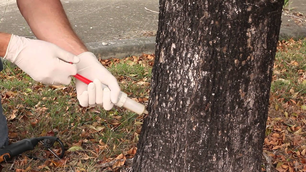 Herbicide Injection