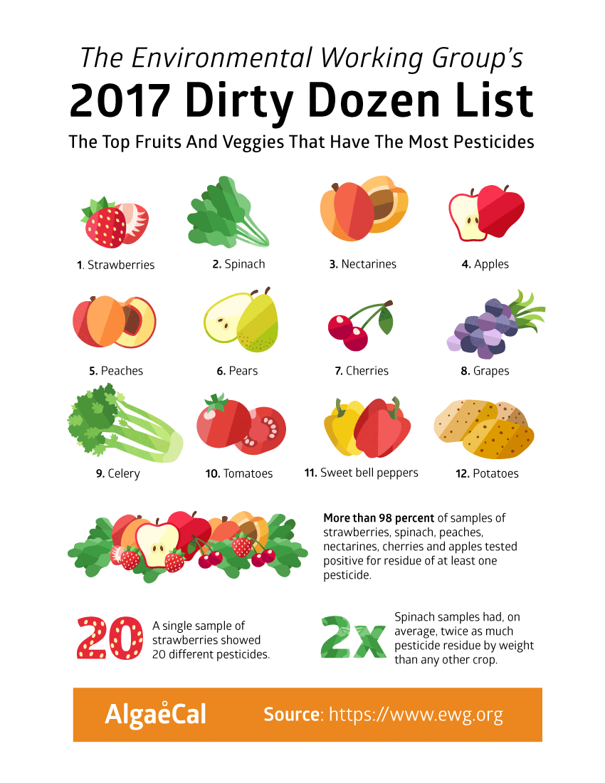 what-you-might-not-know-about-organic-foods-her-campus