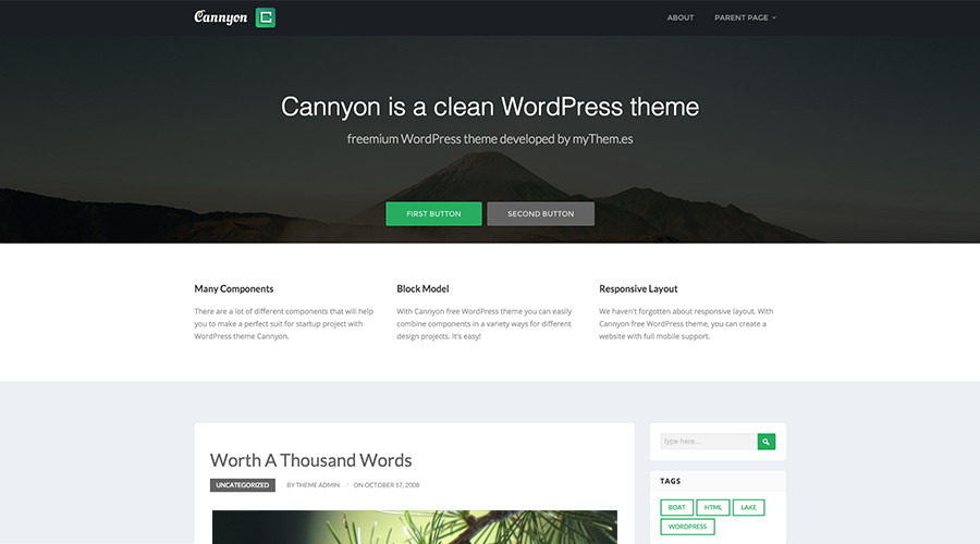 Tema WordPress grátis Cannyon