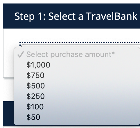 Guide on How To Use United's Travel Bank