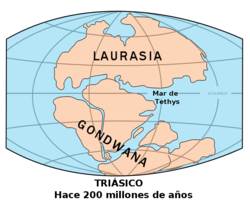 GeologiaEpocasGeolog_image012_0000.jpg