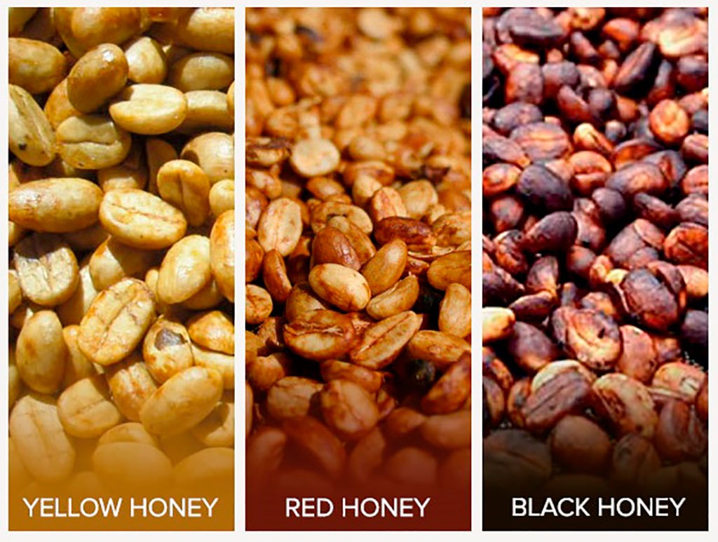 Yellow Honey, Red Honey, Black Honey