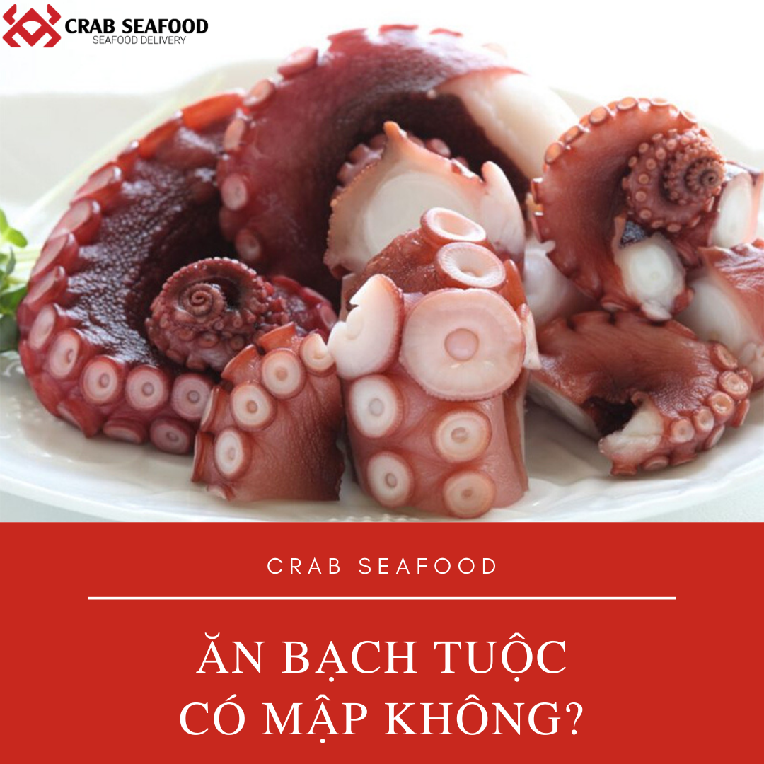 Ăn bạch tuộc có mập không?