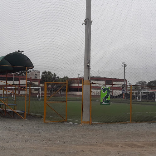 Opiniones de Escuela de Futbol Calasanz en San Miguel - Campo de fútbol