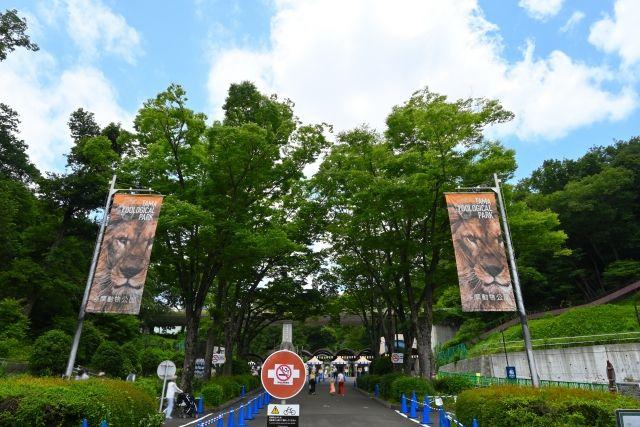 のぼり旗看板にライオンがプリントされ分かりやすい看板写真