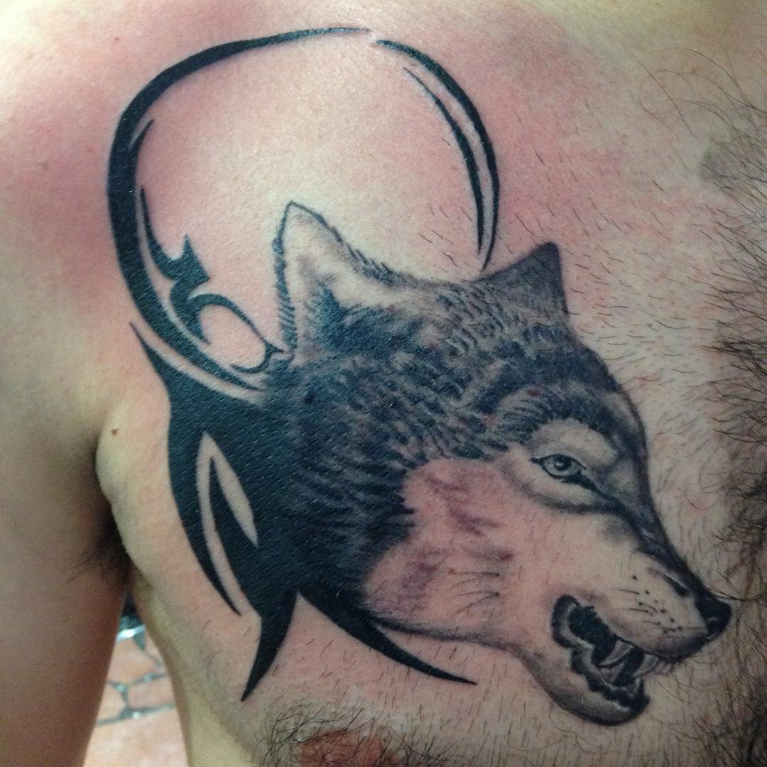 Aggressive Looking Tribal Wolf Male Chest Tattoo