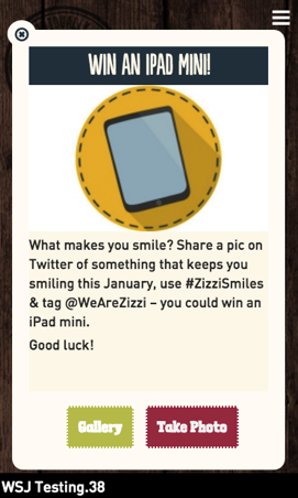 Zizzi 'iPad Mini' screen-capture