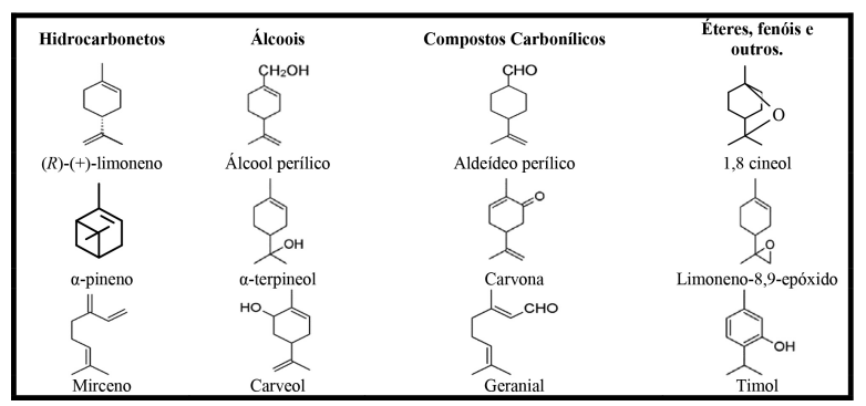 Estrutura química dos terpenos - óleos essenciais