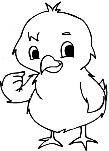 Dibujo De Pollito Para Pintar Imagui