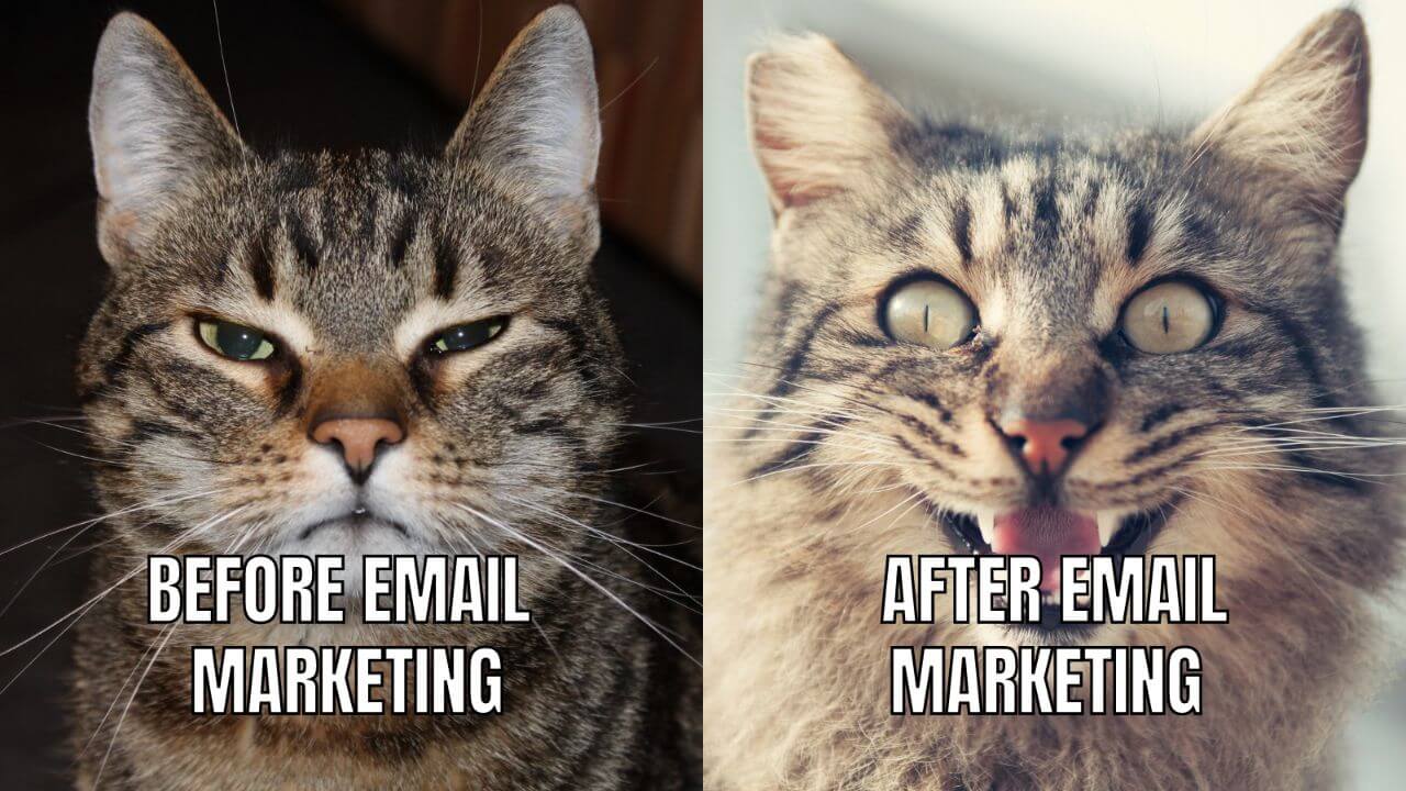 email marketing memes, email marketing is a blessing 
