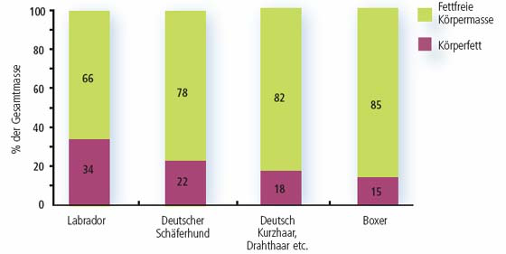 Vergleich des Verhältnisses von fettfreier körpermasse zu köperfett