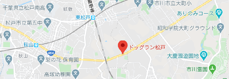 千葉県ドライブで愛犬と一緒にドライブ ドッグランが楽しめる場所をご紹介 サクッと読めるくるまmagazine