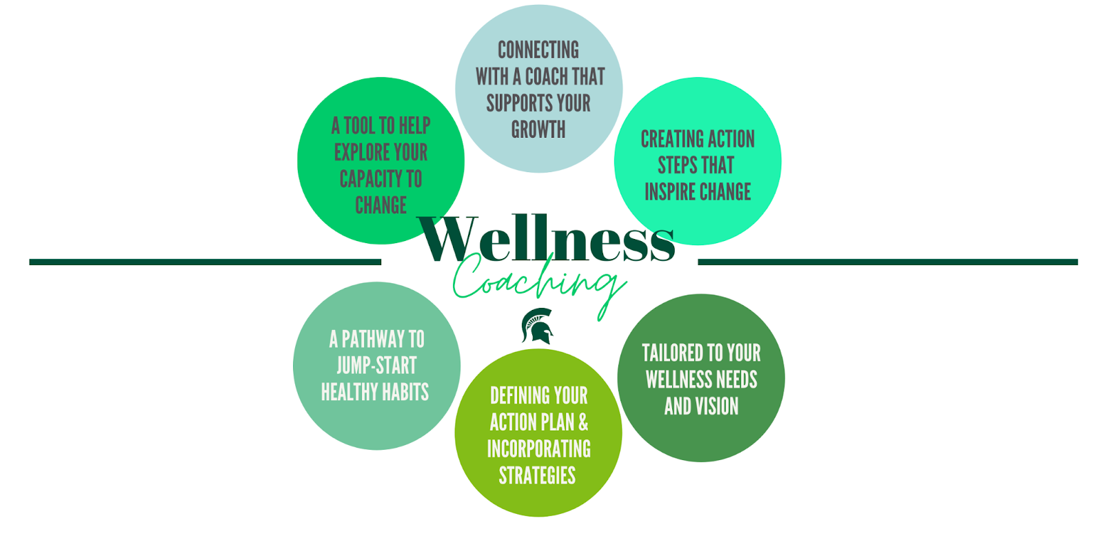 Wellness Coaching 