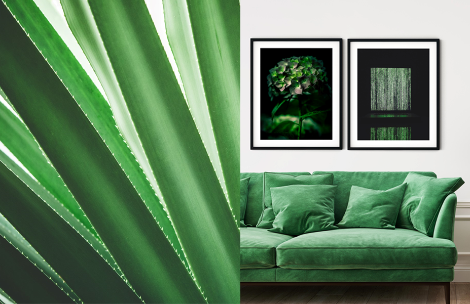 Vackra gröna nyanser - Posteryard: Snygga Posters Online