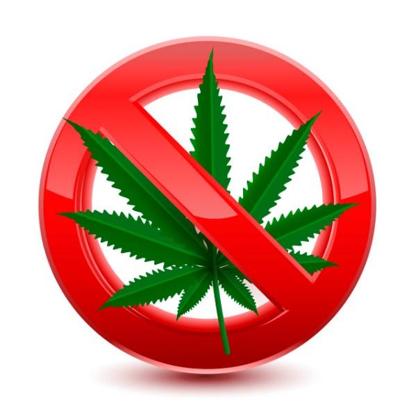 Prohibido no firmar marihuana roja | Vector Premium