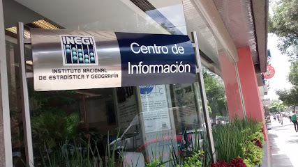 INEGI Instituto Nacional De Estadística Y Geografía