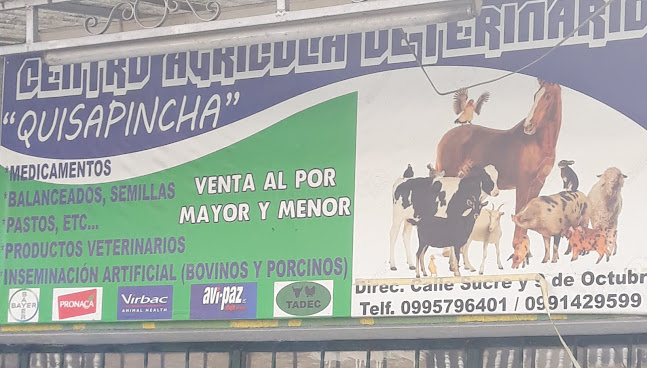 Opiniones de Centro Agrícola Veterinario Quisapincha en Sangolqui - Veterinario