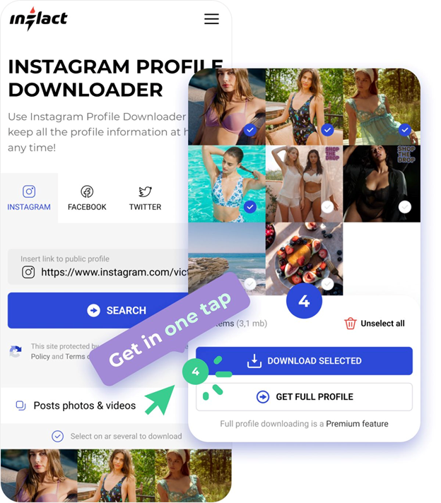 how to use ig downloader step 2