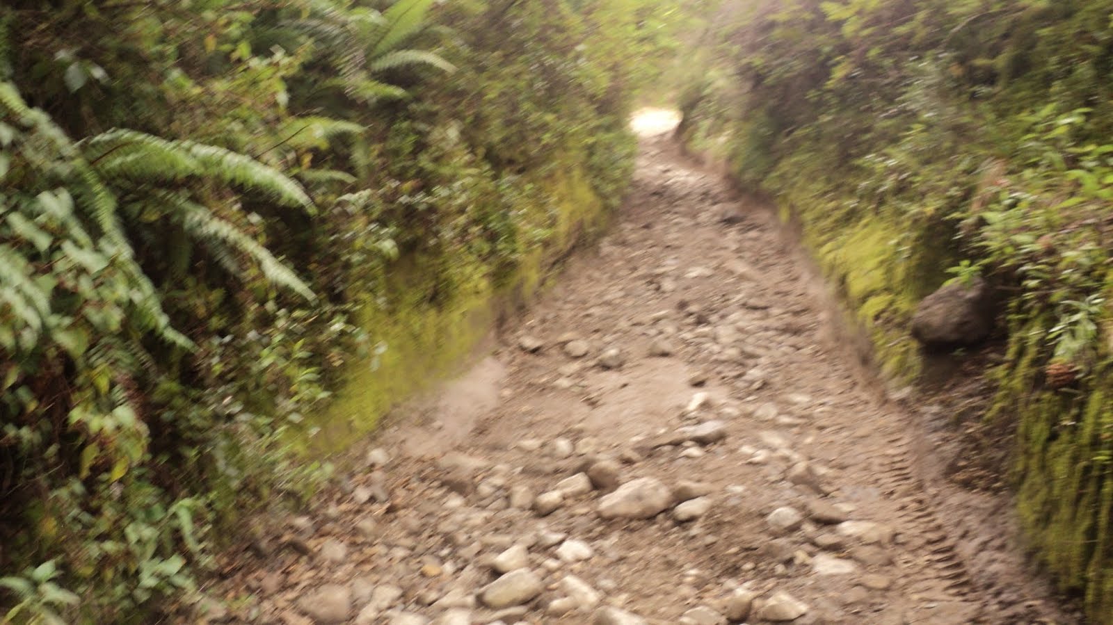 DSC01953.JPG