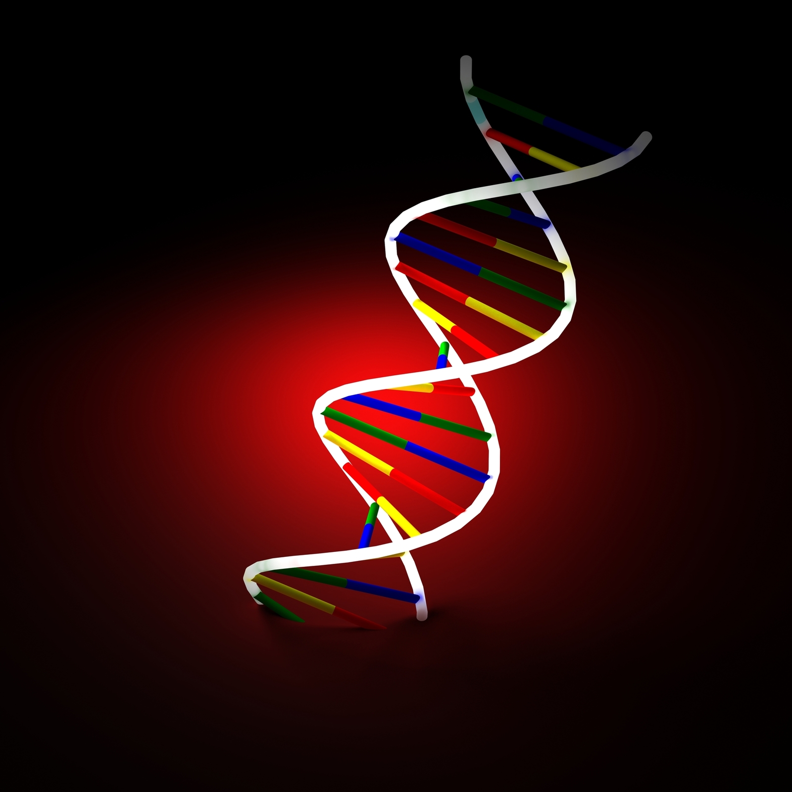 A multicolor digital recreation of a strand of DNA