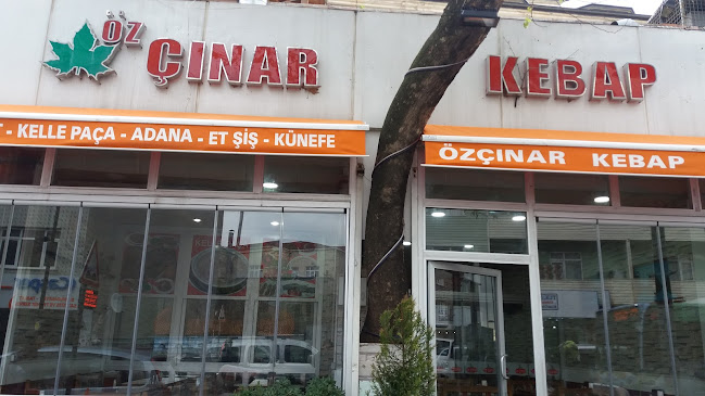 Öz Çınar Kebap