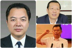 手(左)与中枪的市委书记(右上)、市长