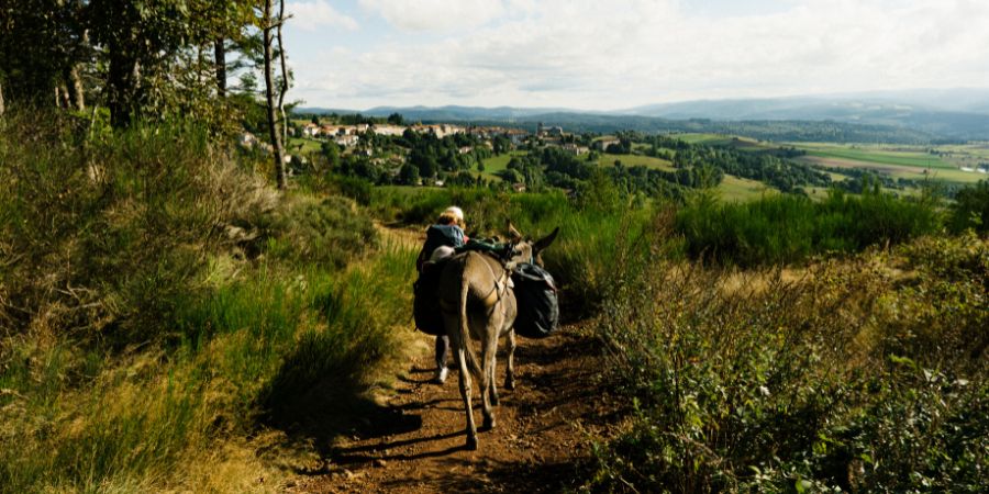 GR 77 - chemin de stevenson