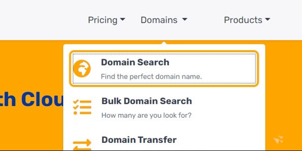 Click on Domain Search