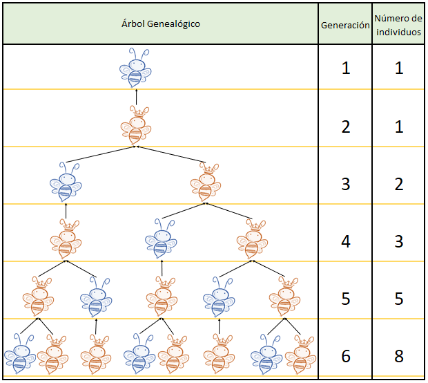 Sabe de Matemáticas la Naturaleza?