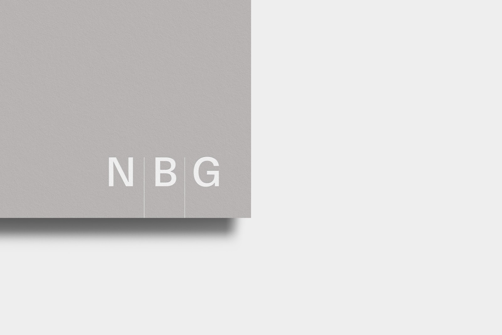 Branding and visual identity artifact from NBG project