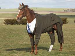 A Horse Wore A Suit Today | GQ