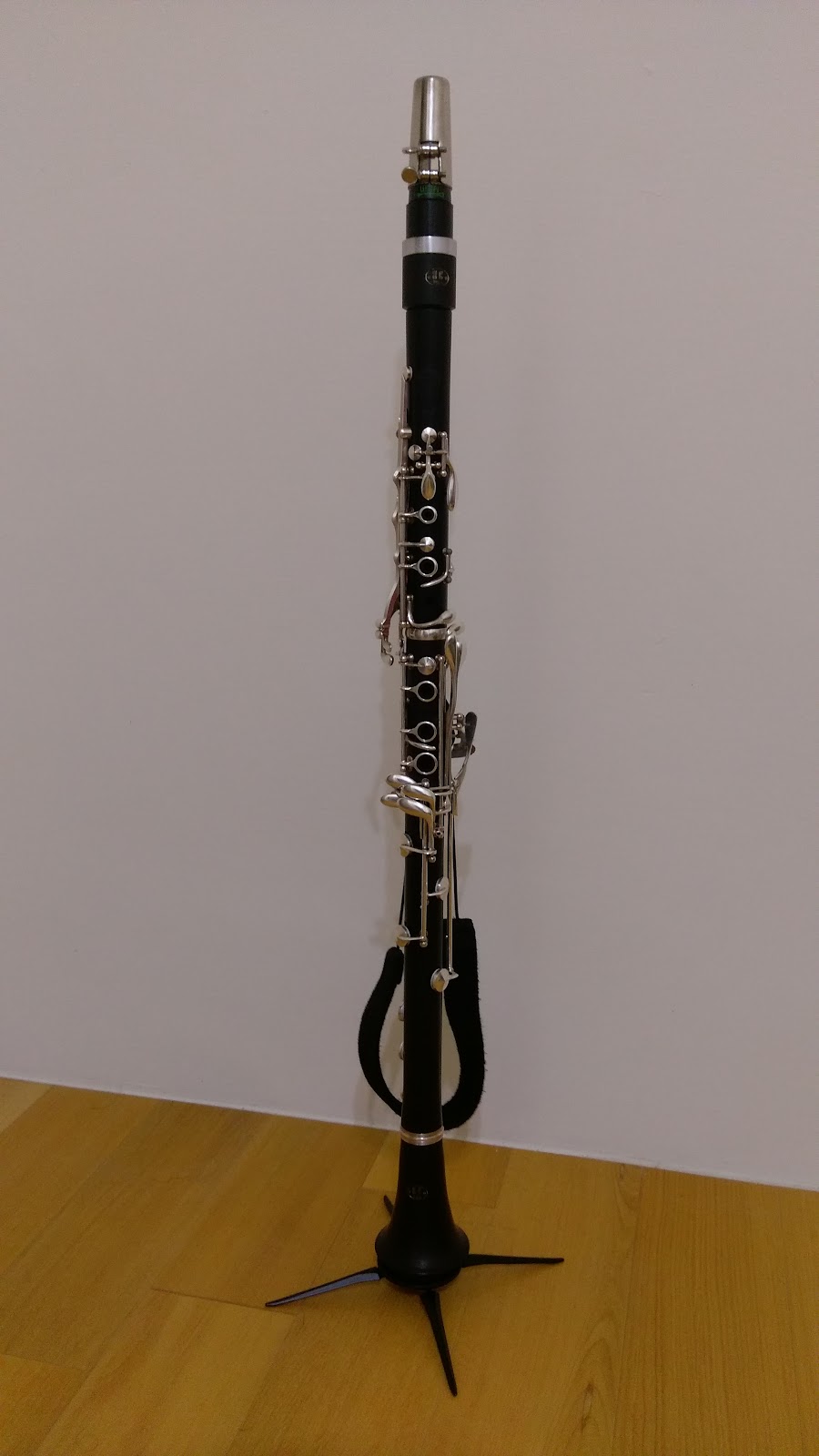 2016-10-31 13.55.43.jpg