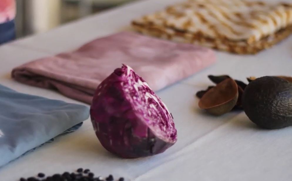 How to make natural dyes for fabric - a few beautiful and colorful  experiments - Dreams Factory