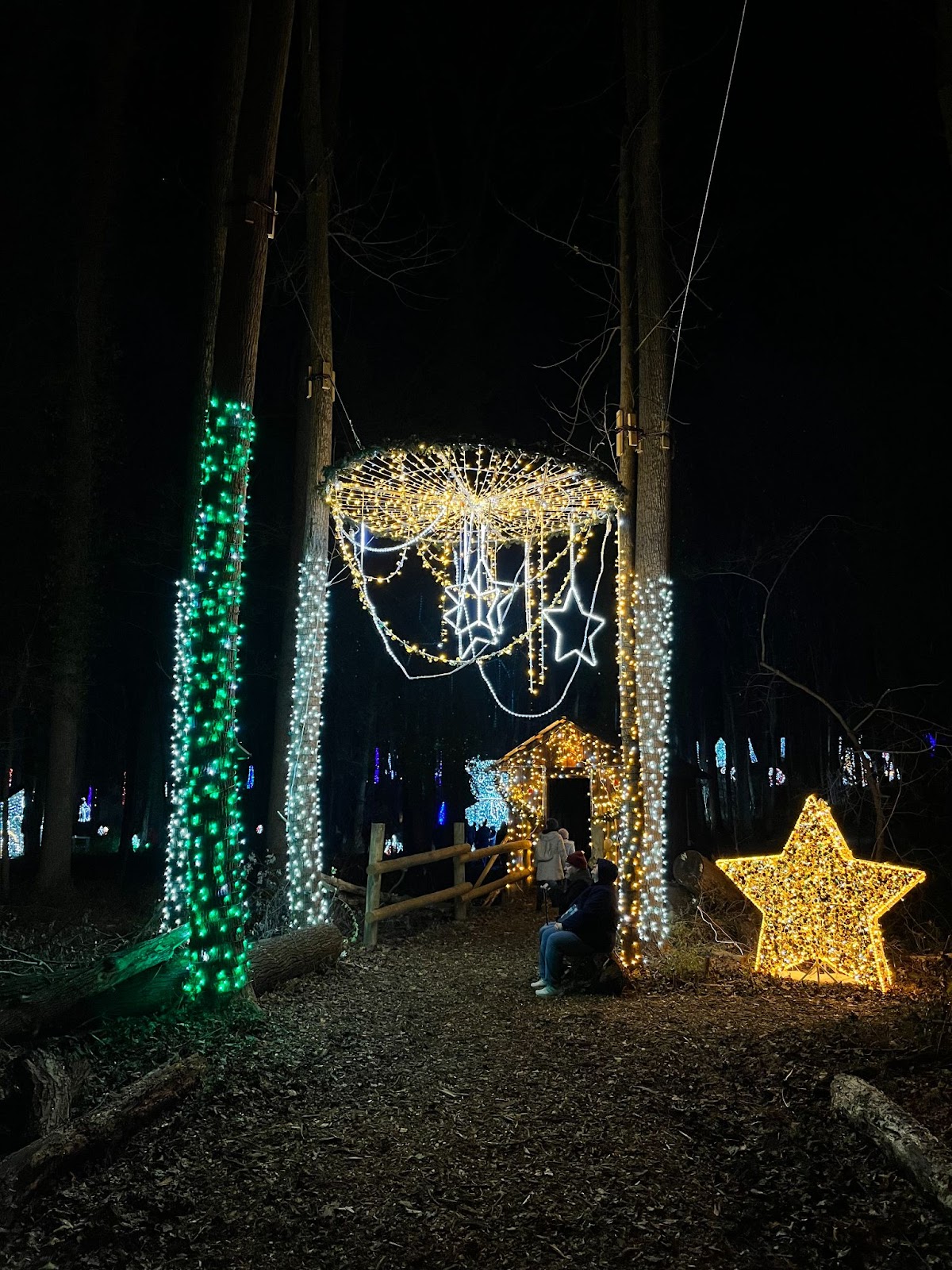 Christmas Maze and Holiday Light Show