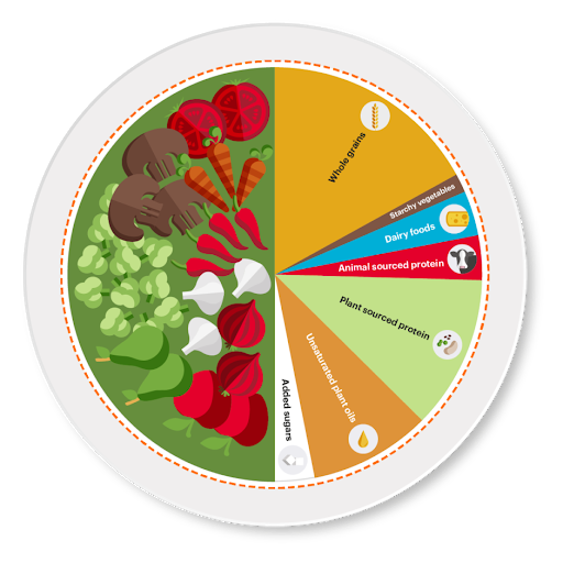 Eine Grafik zeigt die Planetary Health Diet, die auch Fleischkonsum vorsieht. Quelle: https://interactive.carbonbrief.org/what-is-the-climate-impact-of-eating-meat-and-dairy/