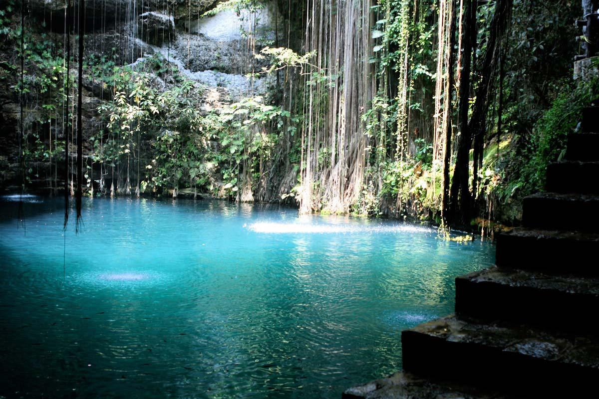 Banca de madera en el agua rodeado de árboles

Descripción generada automáticamente con confianza baja