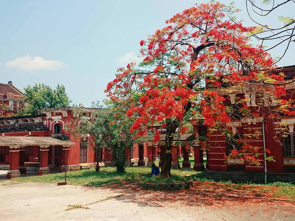 Trường Quốc Học Huế nổi bật với màu sơn đỏ giữa những tán cây xanh (Nguồn: Internet)