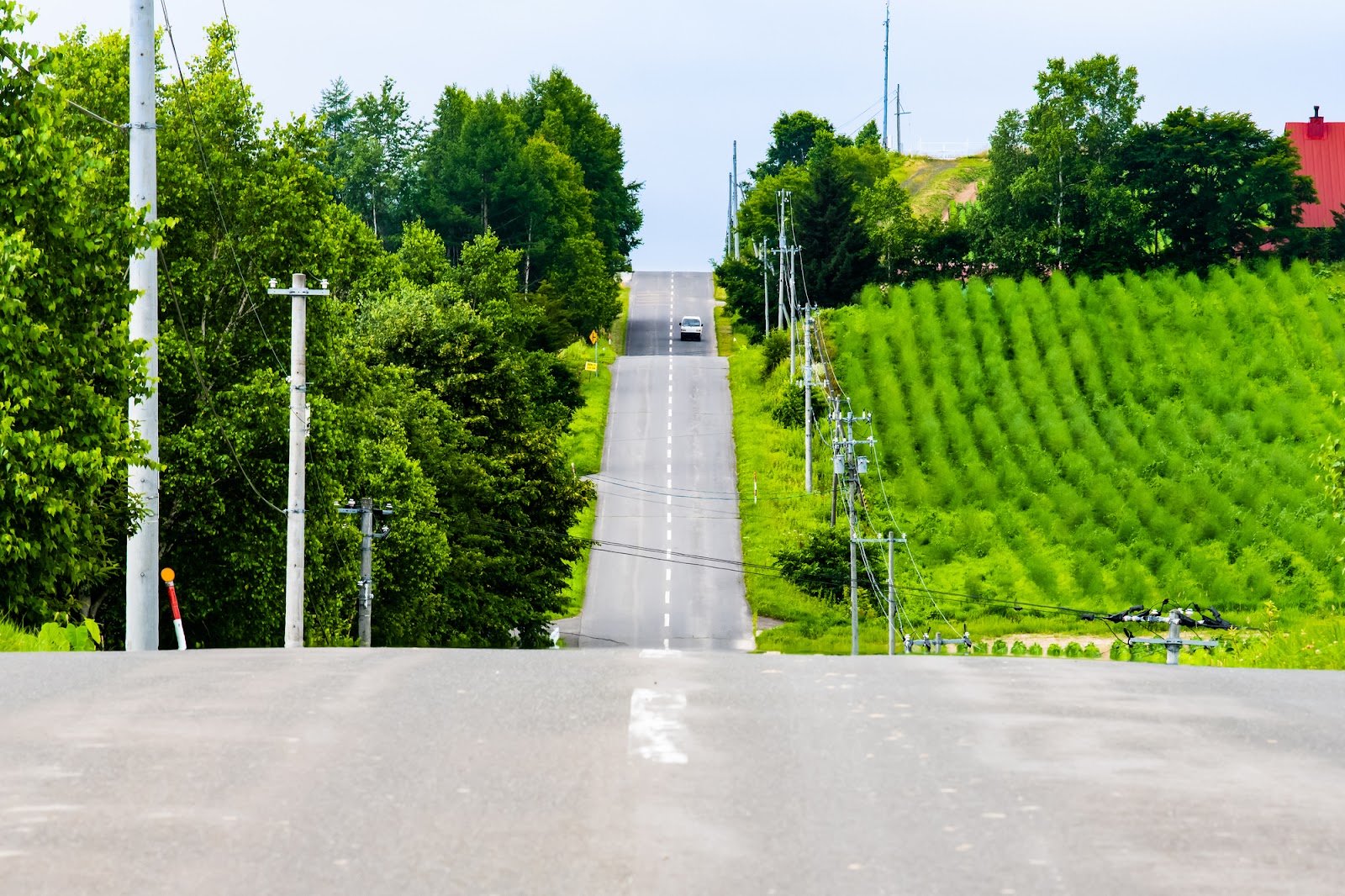 ジェットコースター路