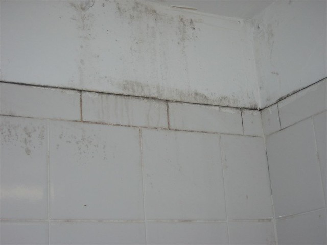 You can try mixing ammonia and water to spray onto your shower walls and scrub with a nylon brush. 