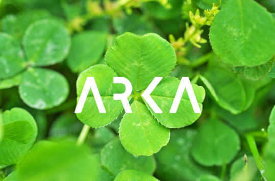 St. Patrick's day with lucky clovers and Arka logo