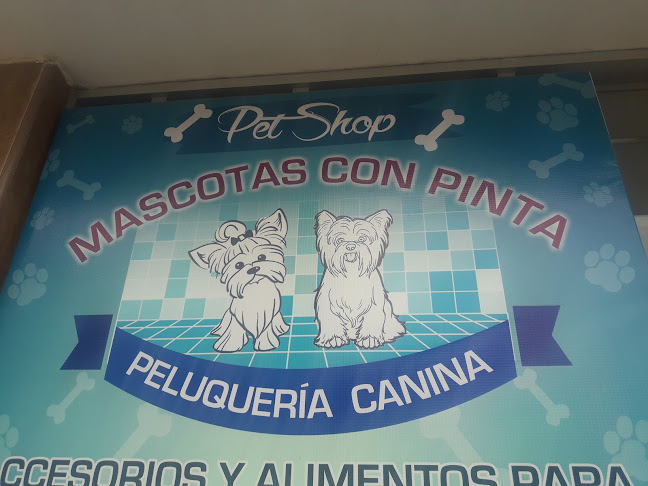 Opiniones de Mascotas Con Pinta Peluquería Canina en Bellavista - Peluquería