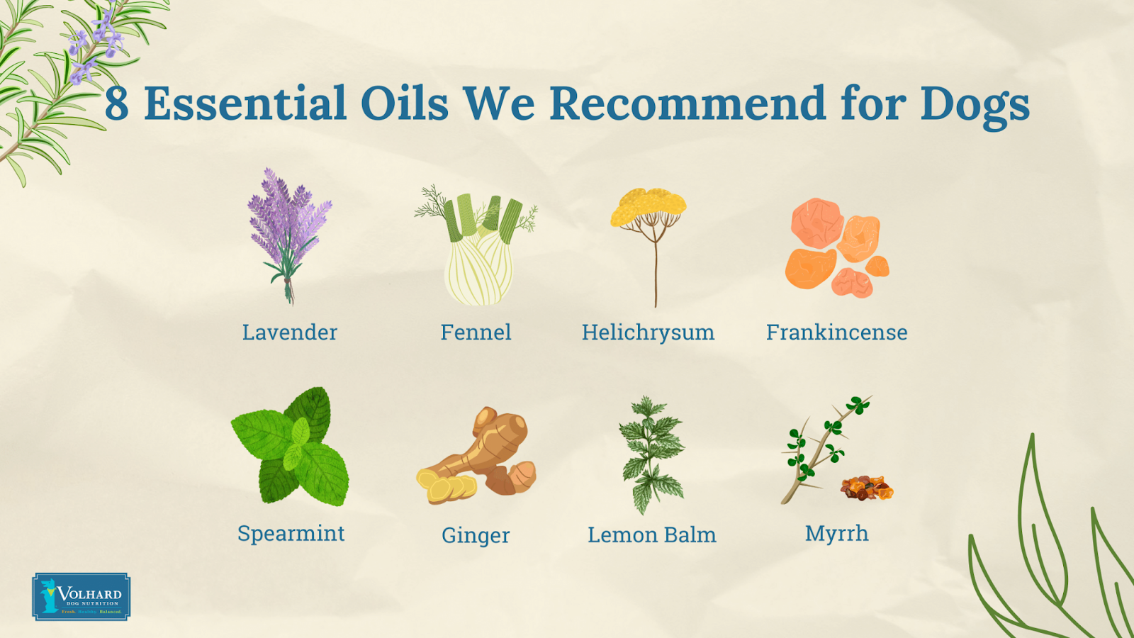 8 essential oils for dogs