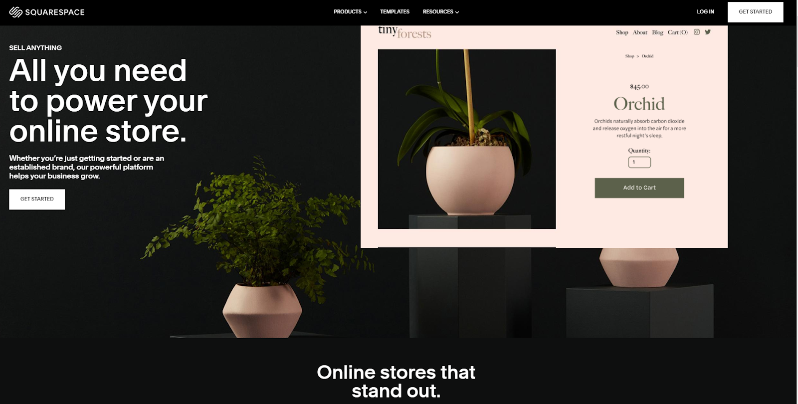 screenshot of Squarespace homepage