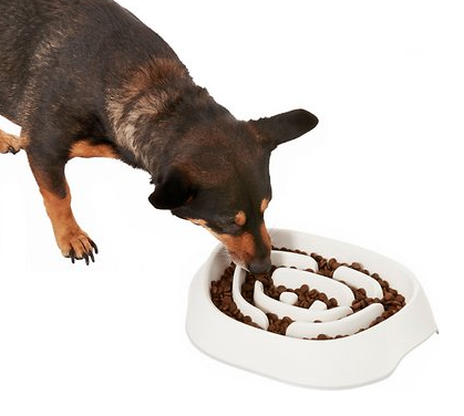 A picture containing dog, plate, eating, brown

Description automatically generated