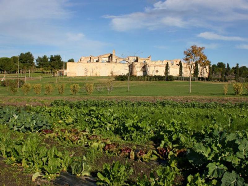 https://www.rignanonews.com/wp-content/uploads/2022/06/SantaGiusta-SanSevero.jpeg
