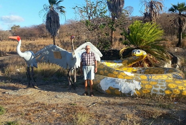 An elderly man standing near the big brolgas and snake