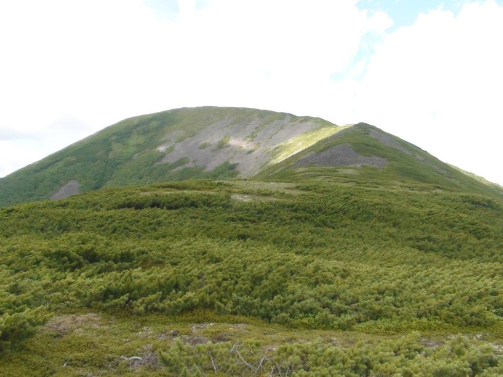 D:\ЭКСПЕДИЦИИ\2013 г\Отчёт  эксп. 2013. 1\Чуи Кабулинская.08.07.13\DSC02780.JPG